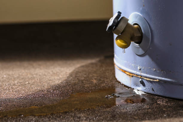 Best Flood restoration services  in Aliso Viejo, CA