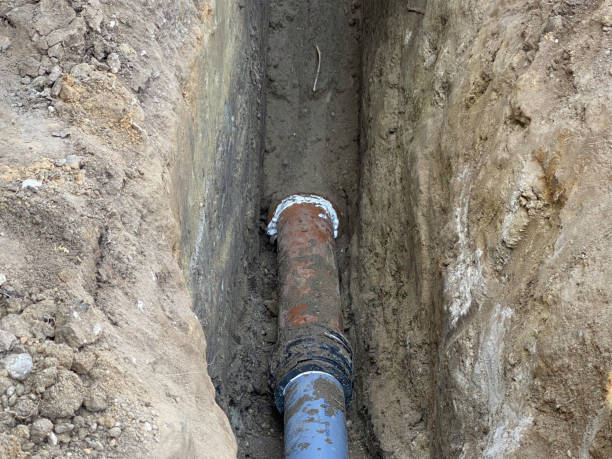 Best Flood damage cleanup  in Aliso Viejo, CA