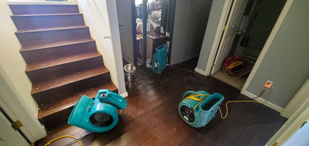 Best Water damage cleanup near me  in Aliso Viejo, CA