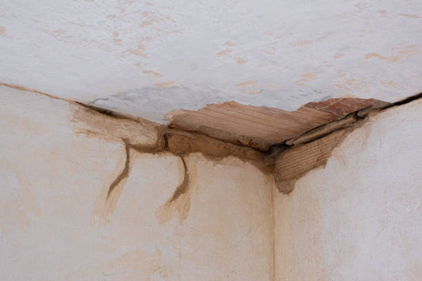 Best Fire Damage Restoration  in Aliso Viejo, CA