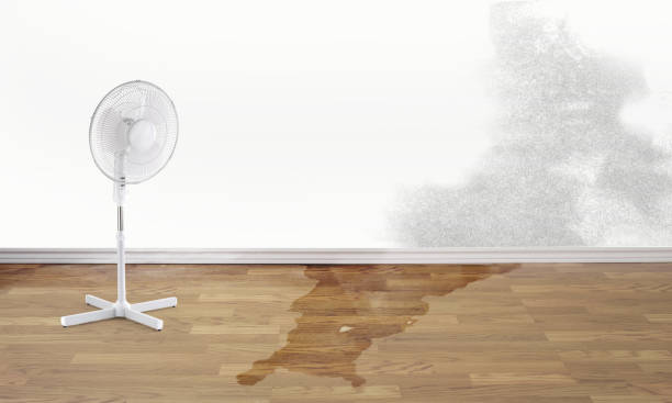 Sewage cleanup and water damage restoration in Aliso Viejo, CA